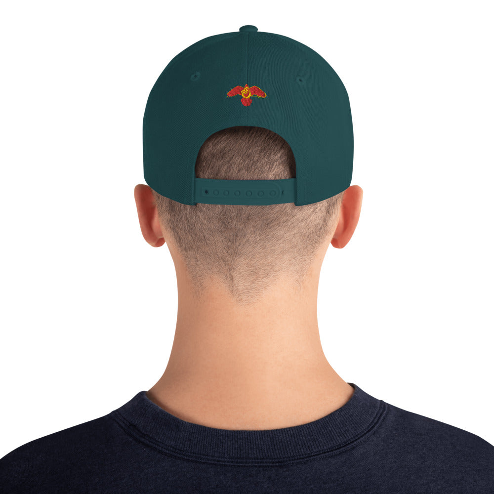 Fly Guy Snapback Hat