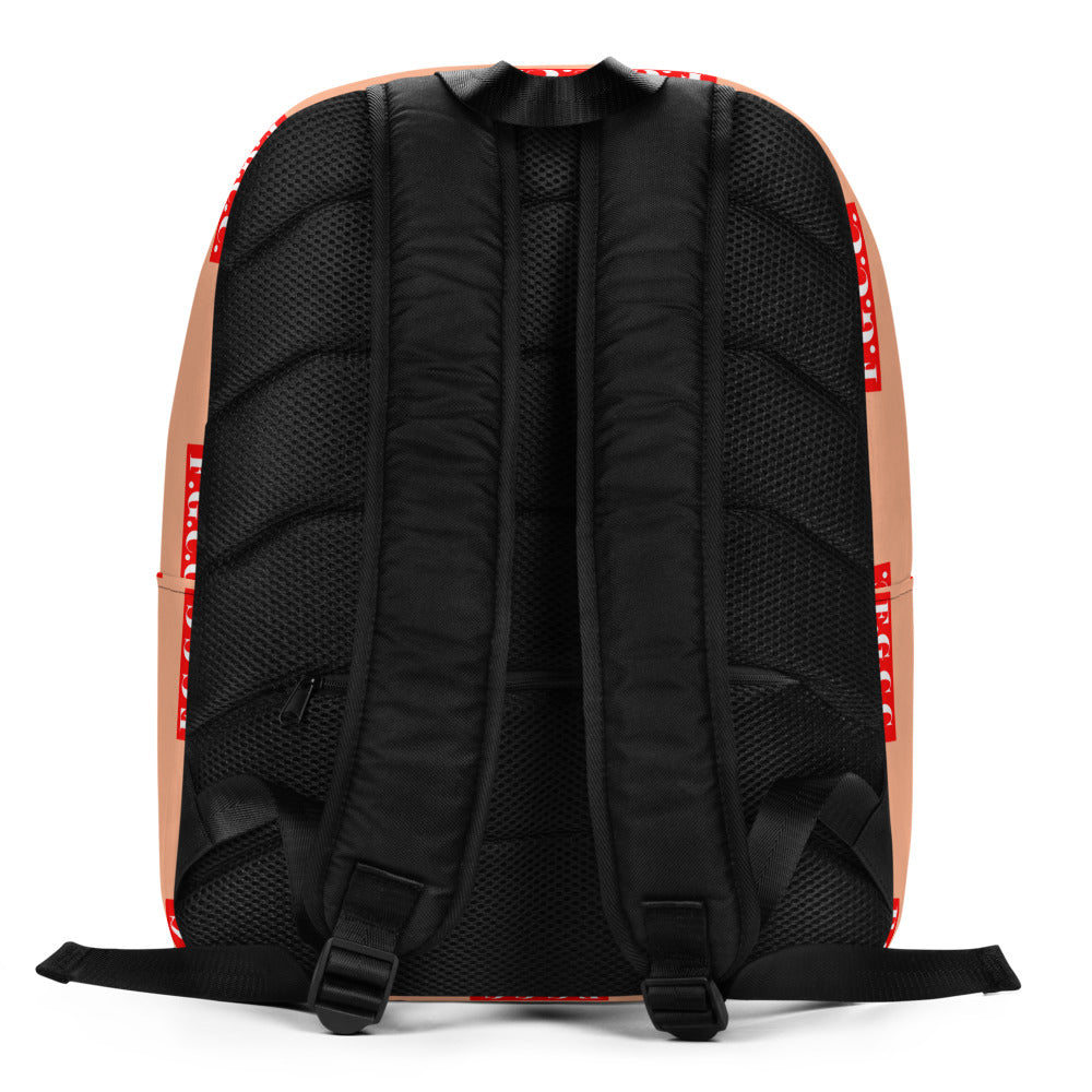 FLYGuy Minimalist Backpack