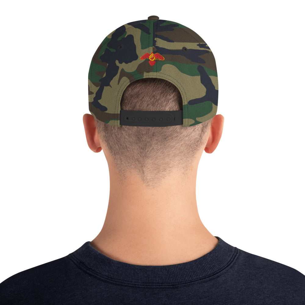 Fly Guy Snapback Hat